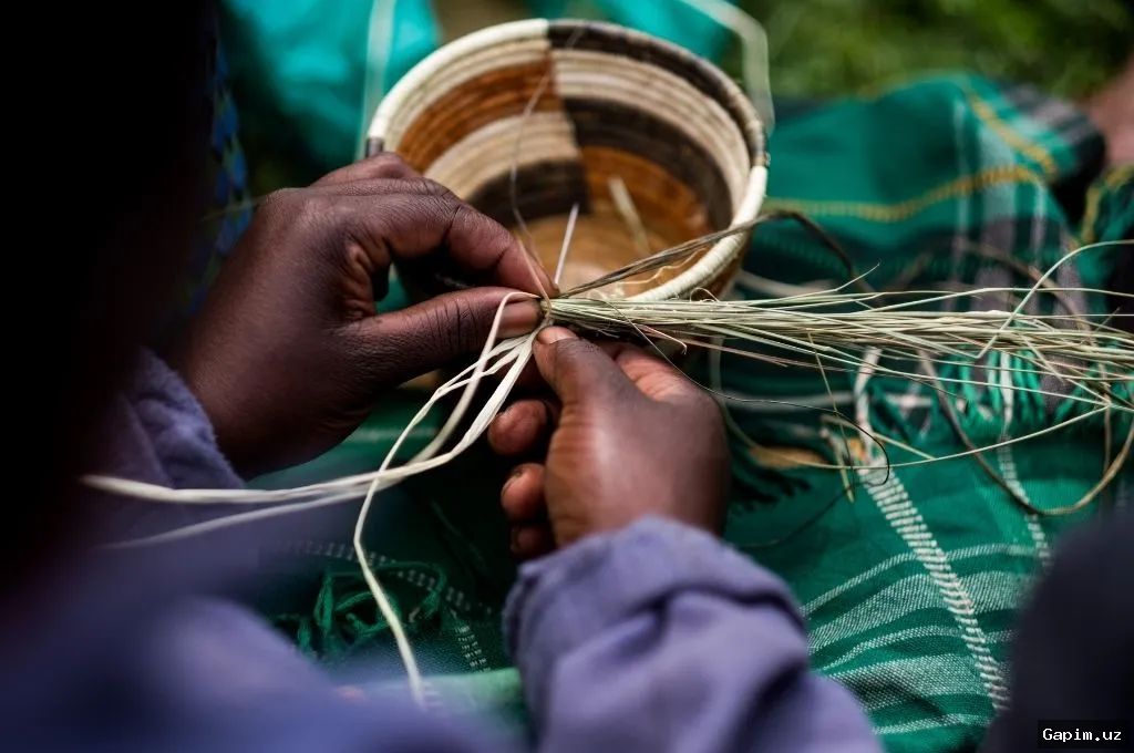 🧵🎨 AI Threat to Tradition: How Digital Looms and Algorithms Are Reshaping India's Textile Heritage