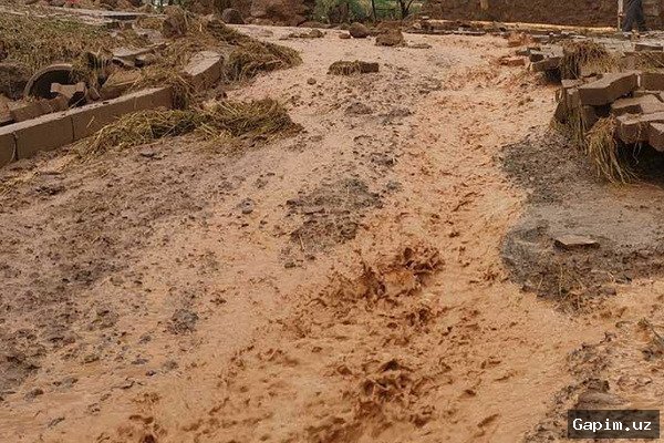 O'zbekistonda sel va toshqin xavfi e'lon qilindi