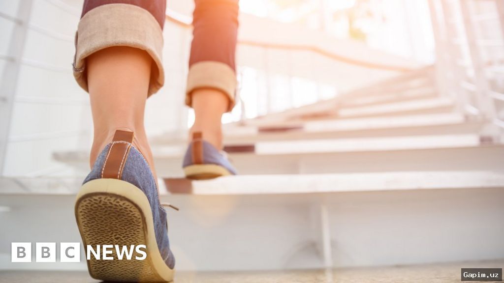 🚶‍♂️🏃‍♀️ O‘zbekistonda ‘10 ming qadam piyoda’ tajribasi qayta tiklanadi