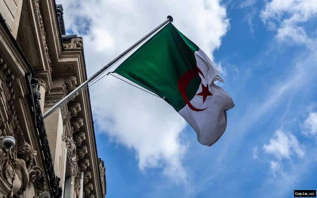 🇩🇿🇦🇪 Algeria cuts diplomatic ties with UAE over 'hostile actions'