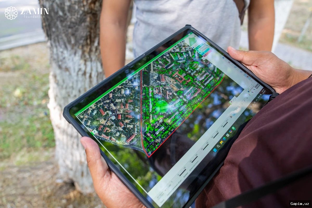 🌳📋 В Ташкенте проведут инвентаризацию деревьев, не входящих в государственный лесной фонд
