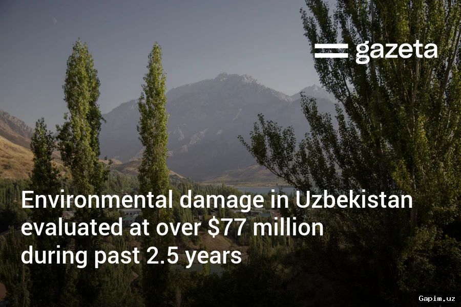 🌳🚮 Toshkent va viloyatida ekologik reydlar: 48 ta qonunbuzarlik aniqlandi