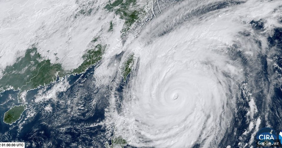 🌀🌊 Taiwan Braces for Direct Hit as Typhoon Champi Triggers Mass Evacuations and Closures