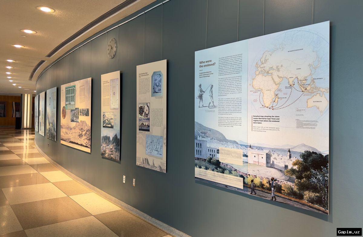 ⚖️🌍 UN General Assembly Votes to Recognise Slave Trade as 'Gravest Crime Against Humanity'