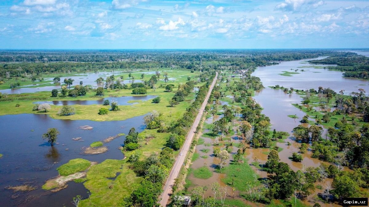 🌳🛣️ Бразилия выделит $75 млн на ремонт шоссе через Амазонку