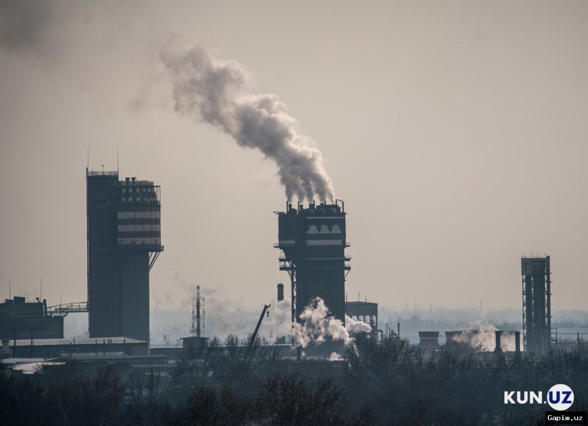 🌿💸 O‘zbekistonda ekologik zarar uchun moliyaviy sanksiyalar kuchaytirilmoqda