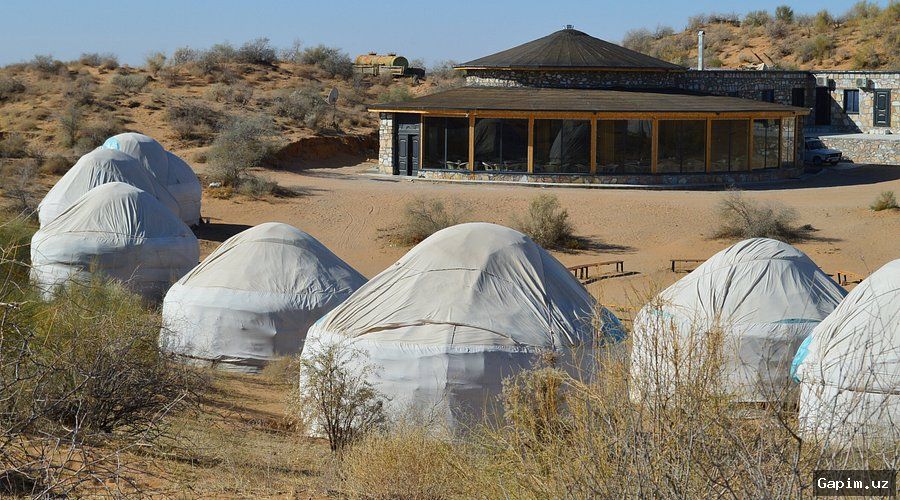 🏕️🐪 Uzbekistan launches unique tourism project: live in yurts, learn crafts in Navoi region