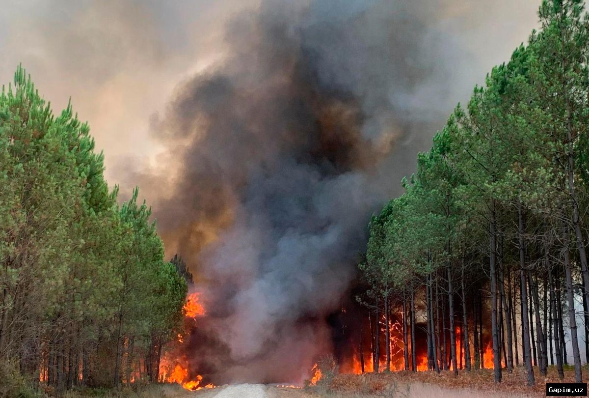 🔥🌲 Пожары во Франции: чрезвычайная ситуация в Жиронде