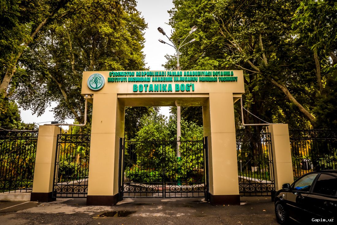 🚶‍♂️🌳 Ботанический сад Ташкента с 1 апреля станет пешеходной зоной