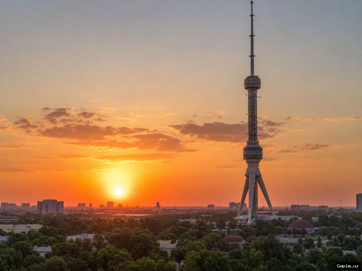 🌤️🍂 Uzbek authorities report on weather forecasts for the upcoming week