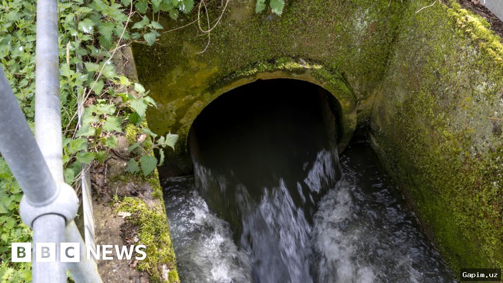 💧🔧 В Ташкенте повреждение канализационного трубопровода привело к сбросу сточных вод в канал Салар