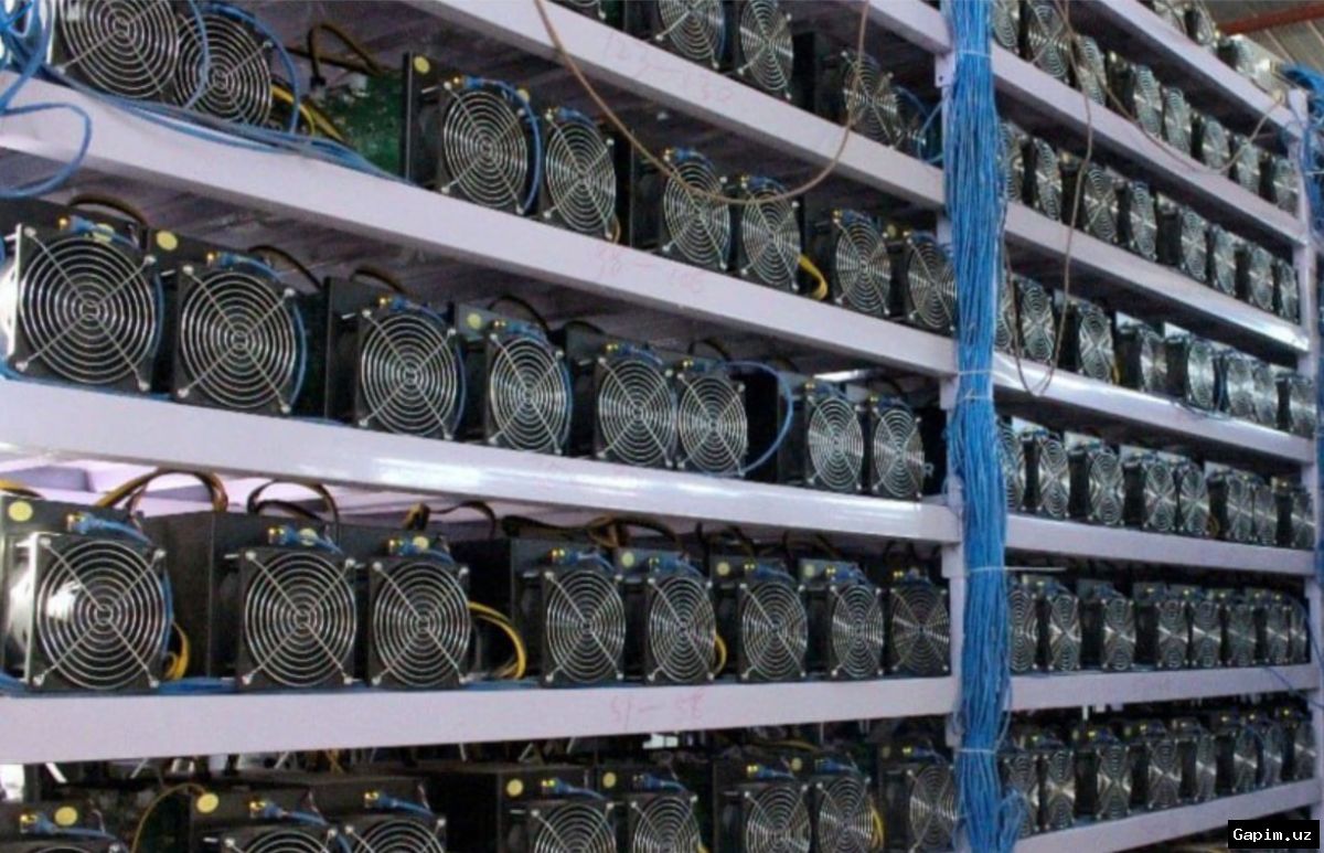 🕵️‍♂️💻 Seven detained in Samarkand region for illegal crypto operations