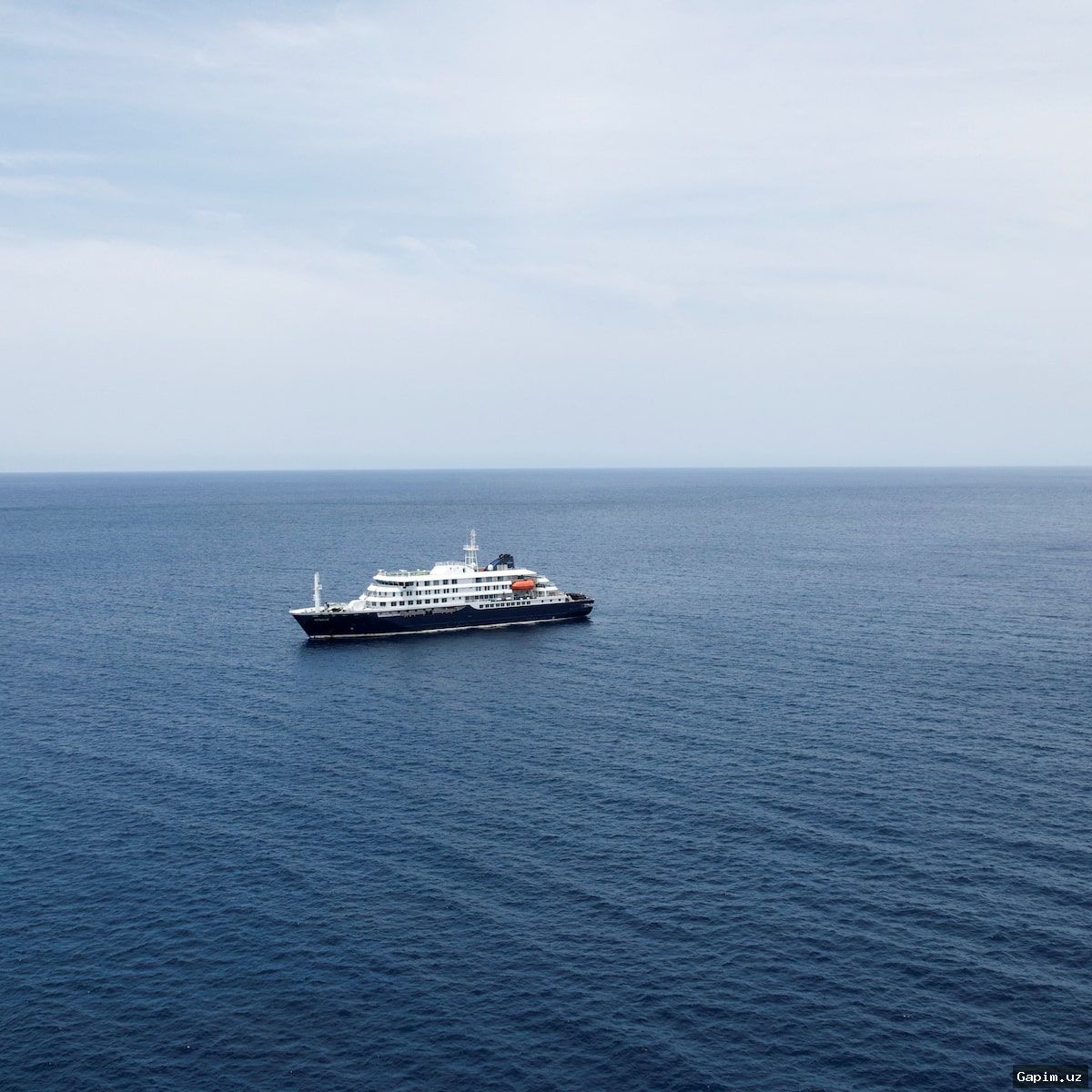 🦠🚢 CDC США завершило реагирование на вспышку хантавируса на круизном лайнере, унесшую жизни трех человек