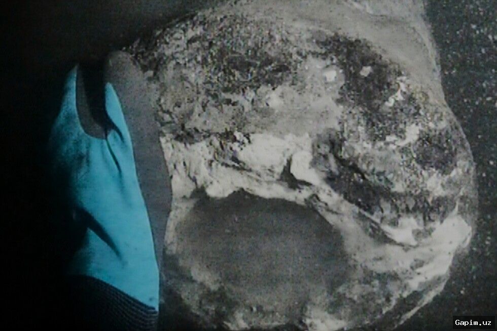 🛳️🔍 Обнаружено через 200 лет: Корабль Dannebroge найден на дне Копенгагенской гавани