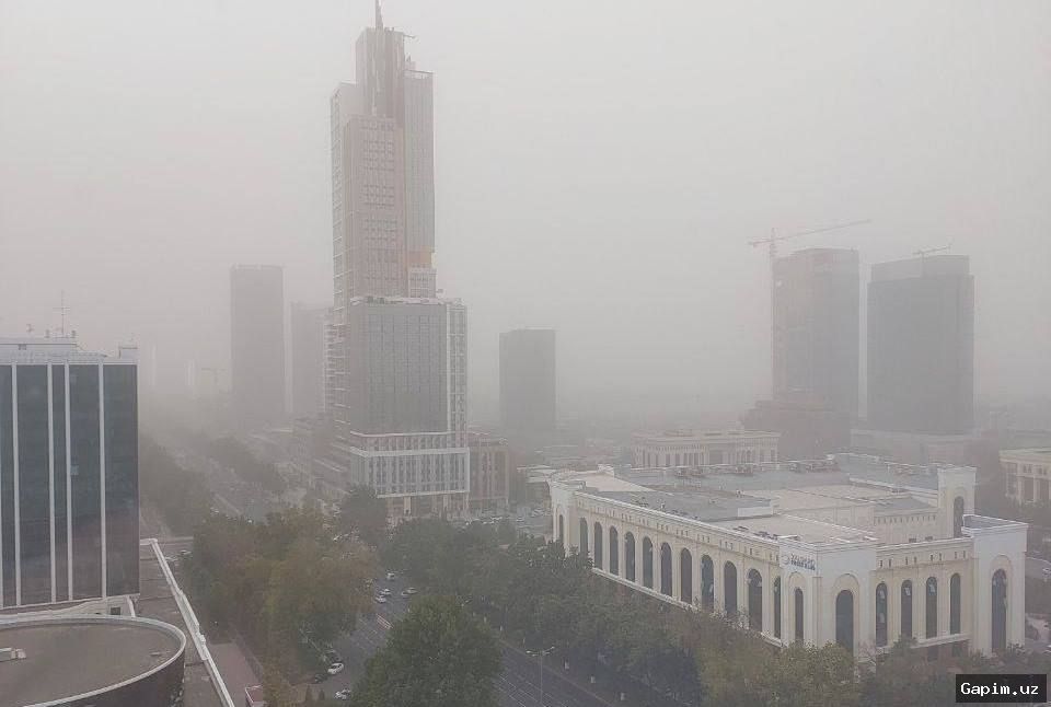 🌫️🏙️ Toshkentning Yunusobod tumanida havo ifloslanishi tekshirilmoqda
