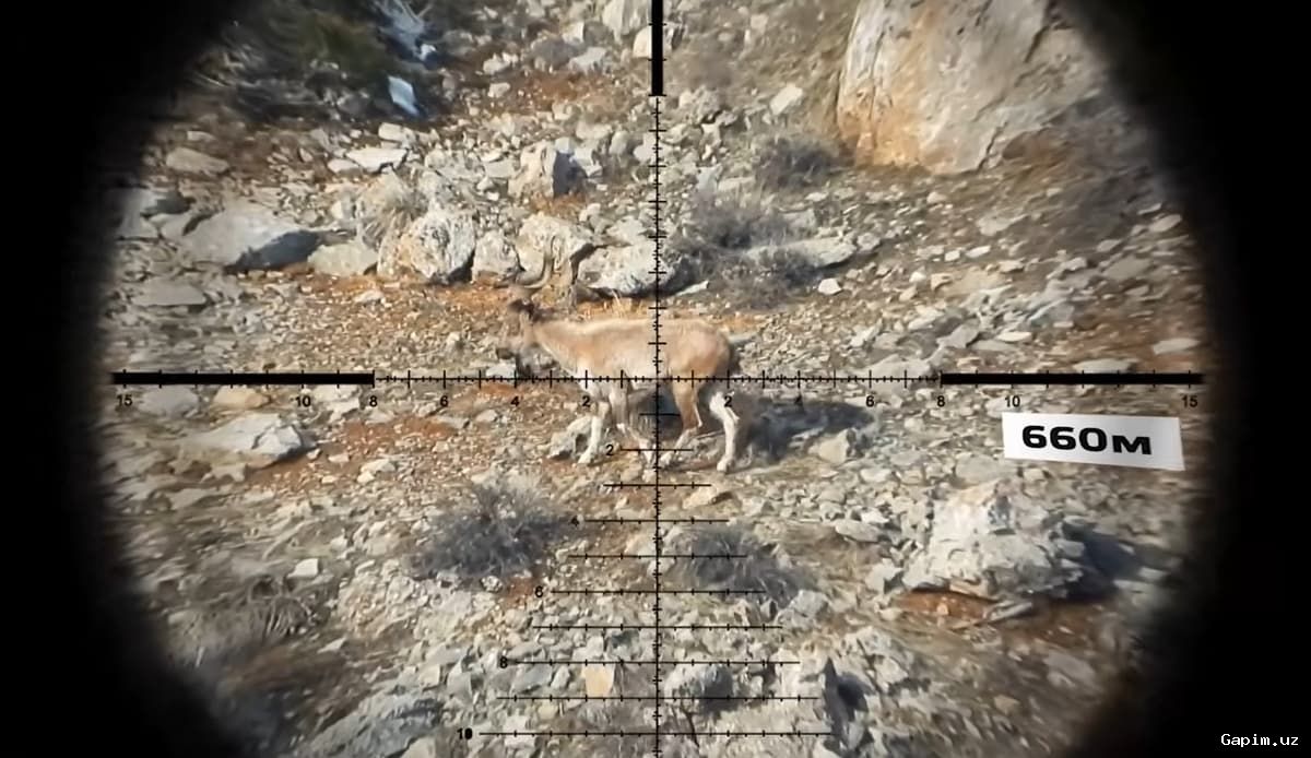 🐻🦌 Surxondaryoda Qizil kitobdagi ayiq va yovvoyi to‘ng‘izlarni noqonuniy ovlaganlarga nisbatan jinoiy ish qo‘zg‘atildi