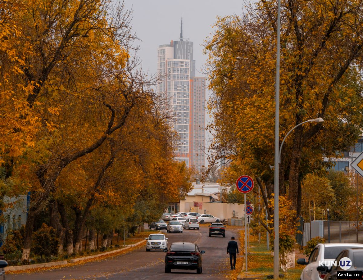 📊🌐 What New Legislation and Regulatory Changes Have Taken Effect in Uzbekistan Starting November 1?