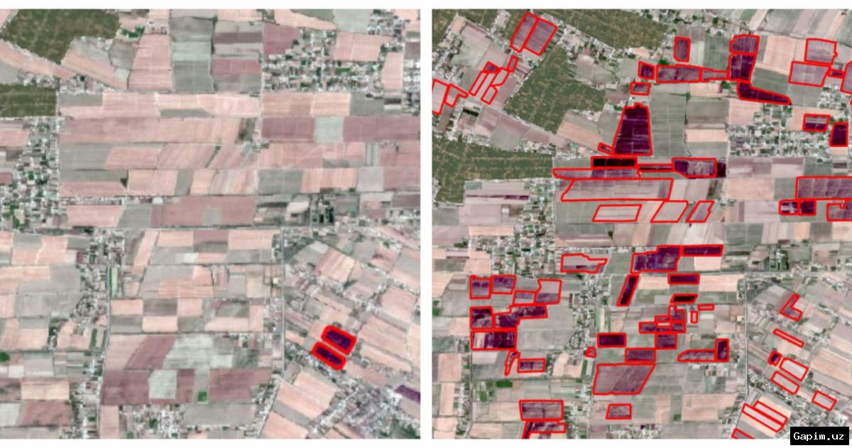Original: Surkhandarya national park fire safety Uzbekistan 🔥💧 В Сурхандарье усилены меры пожарной безопасности: в национальном природном парке 'Юкори Тупаланг' установлены резервуары с водой