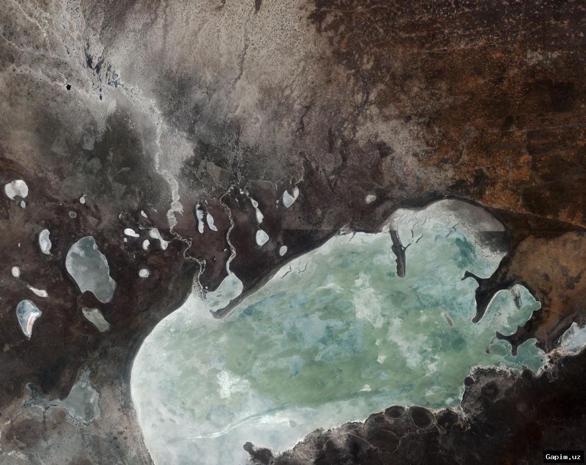 🛰️🌍 European satellite allegedly captures detailed false-color imagery of Etosha salt pan in Namibia