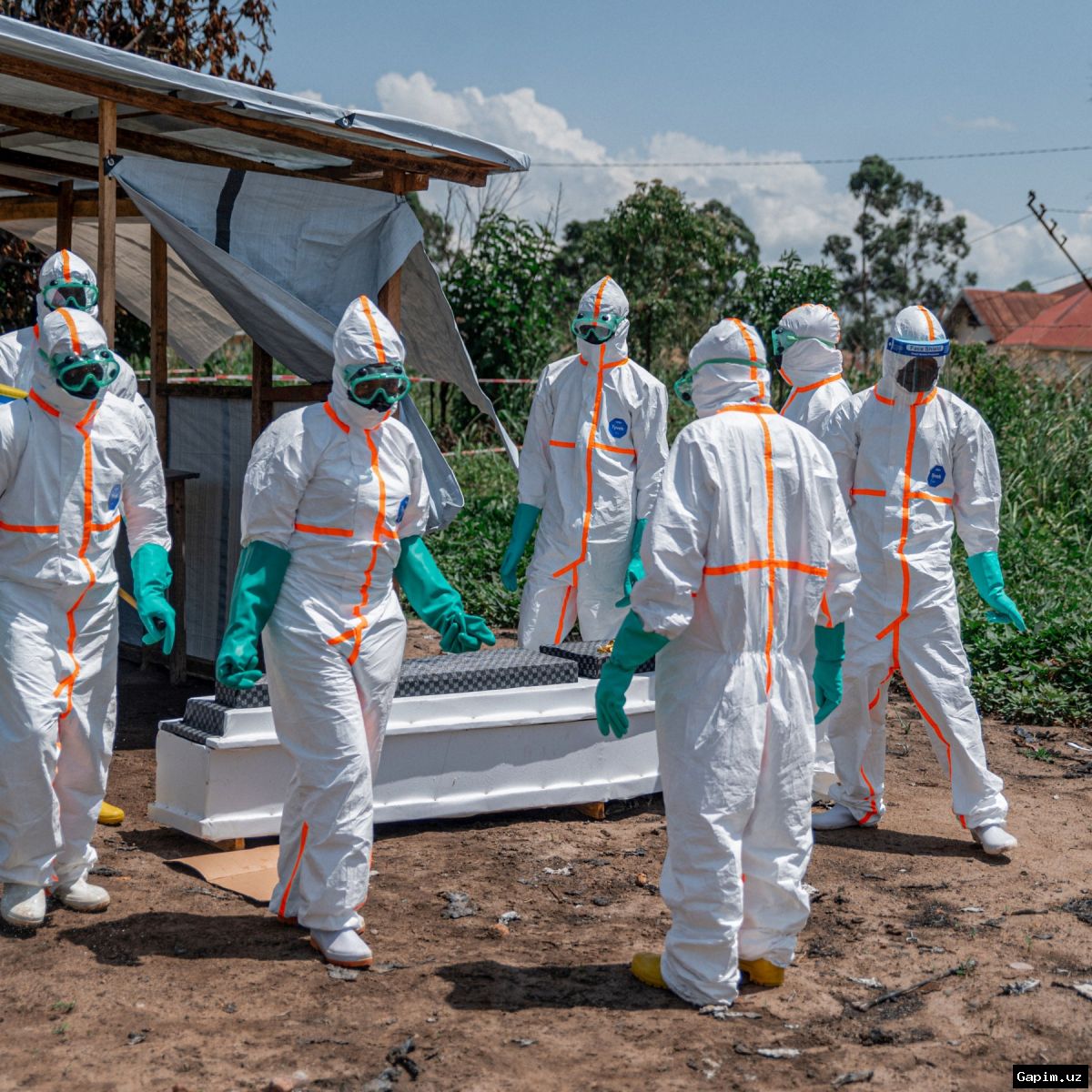 🦠⚠️ Ebola epidemiyasi: Kongodagi tibbiyot xodimlari hayot va o‘lim yoqasida