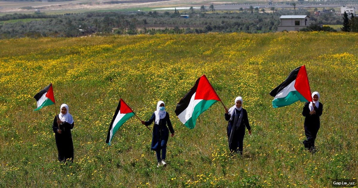 🌱🗝️ Land Day in Palestine: A Multigenerational Tale of Dispossession and Resilience