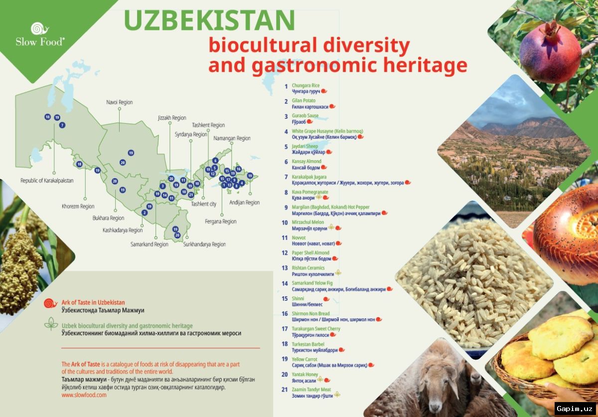 🌾🏆 Xorazm guruhi yangi geografik ko‘rsatma sifatida ro‘yxatga olindi
