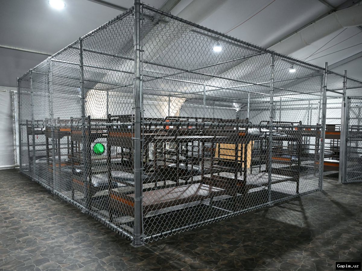 🐊🏛️ US regime shuts down 'Alligator Alcatraz' detention center, transfers all detainees