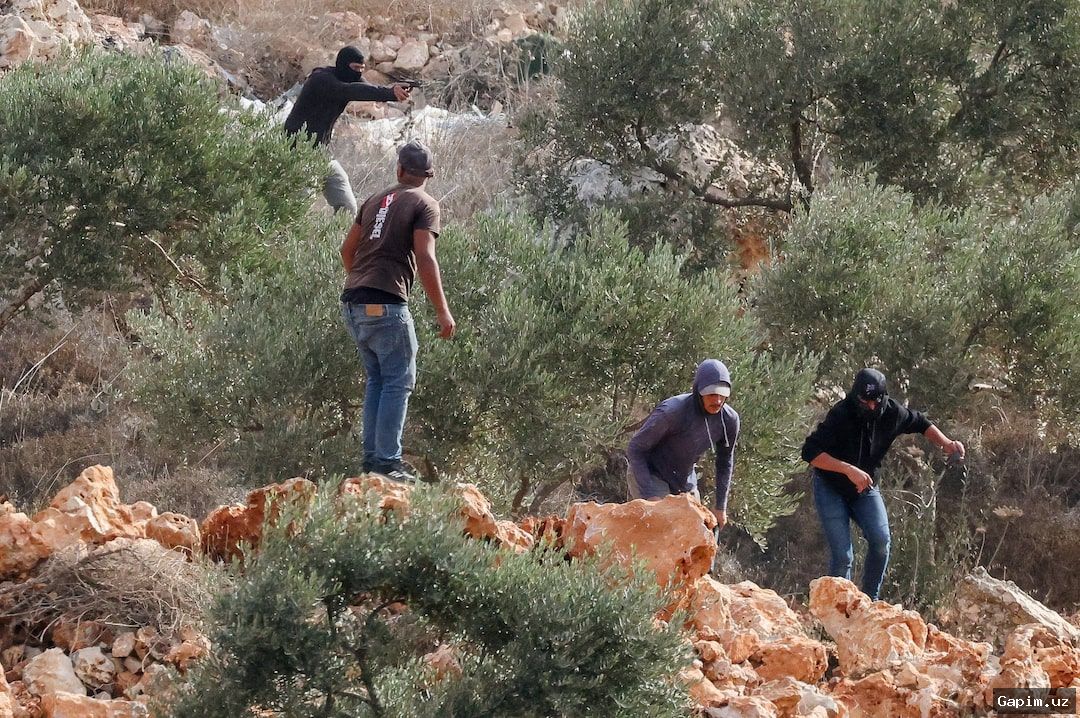 🫒⚠️ Escalating West Bank Violence: Washington Post Journalist and Farmers Attacked