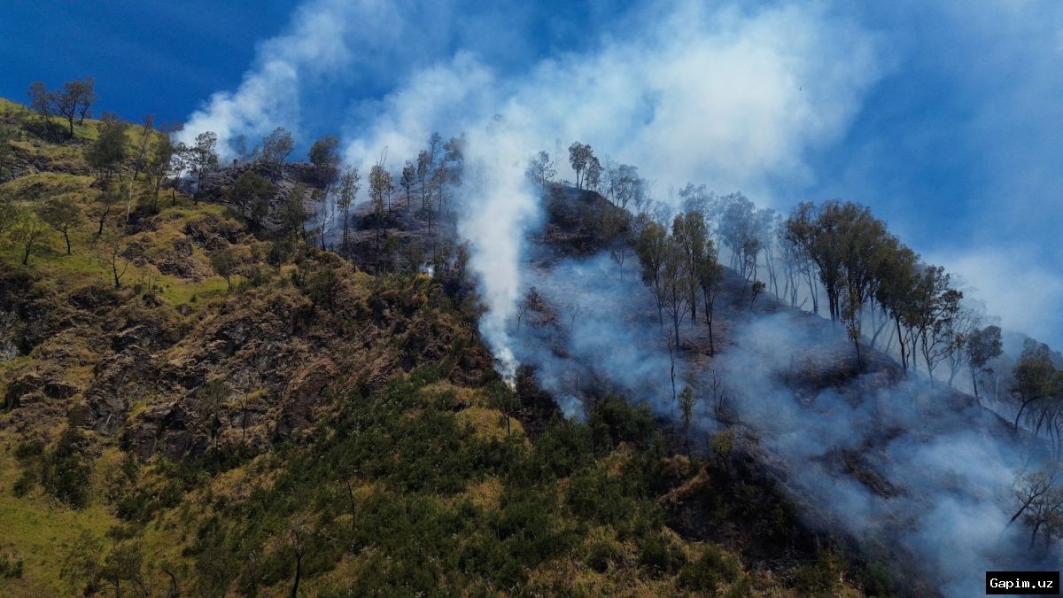 🔥🌋 Пожар на горе Бромо: национальный парк закрыт, власти борются с огнем