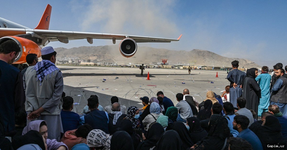 ✈️ Германия: Оппозиция критикует стратегию эвакуации из Персидского залива