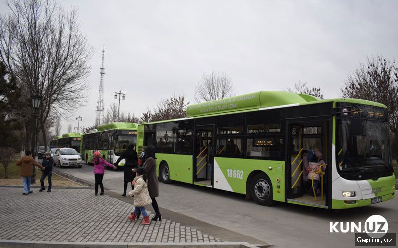 🚌⚖️ В Ташкенте мужчину, показавшего половой орган пассажирке в автобусе №93, арестовали на 15 суток