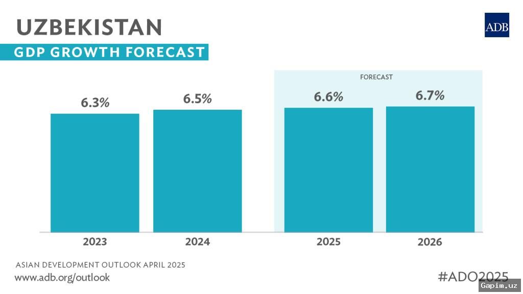 🇺🇿📉 Uzbekistan's Economy Slows in 2024: Growth Misses Targets Amid Inflation and Export Decline