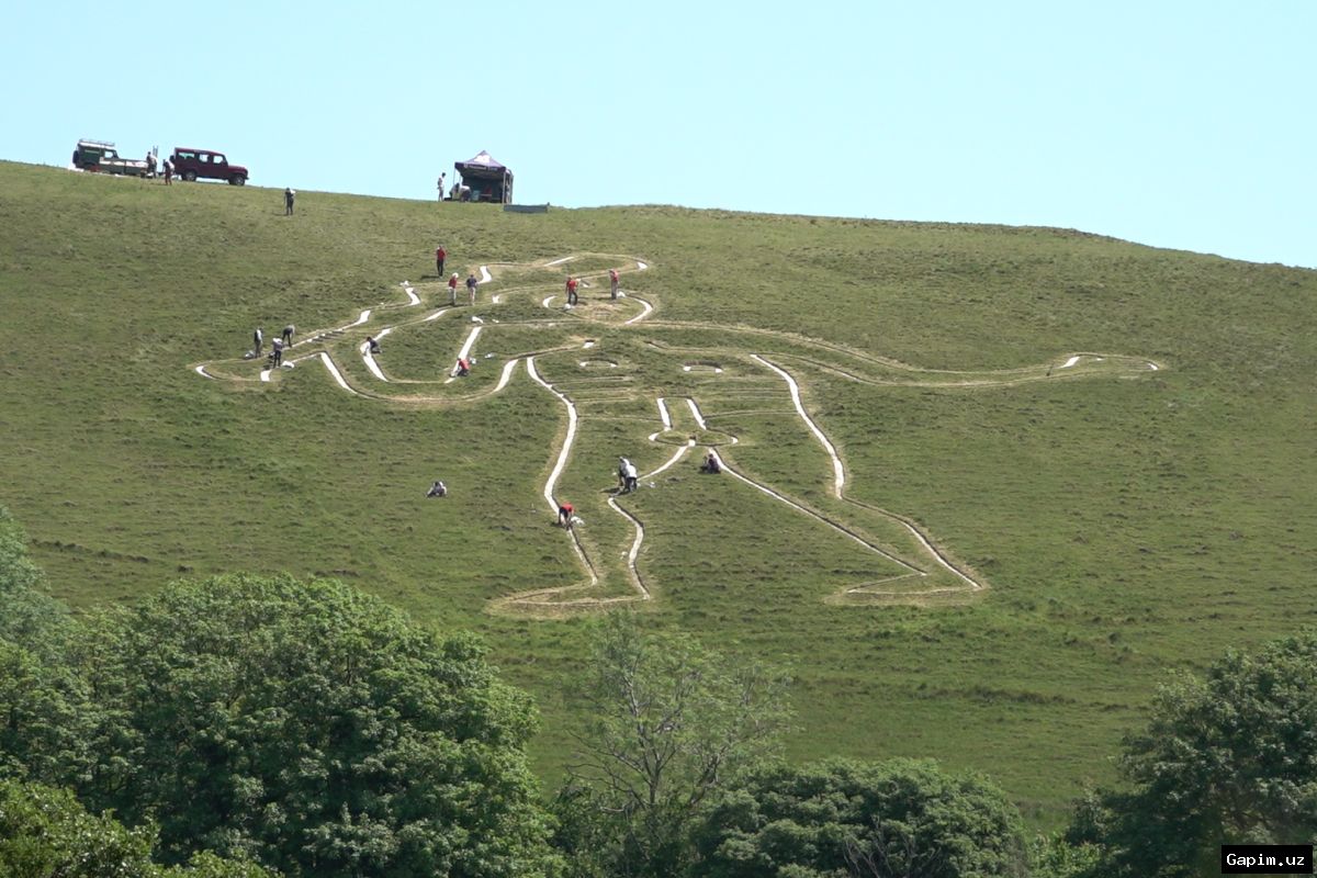 🏛️⛰️ В Британии обновляют меловой контур гиганта из Серн-Аббас