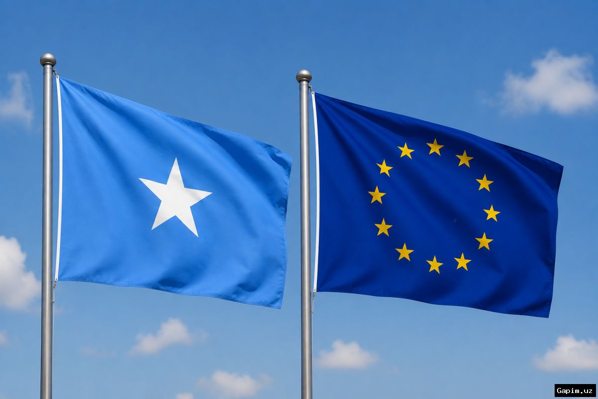 🌍🚫 EU imposes visa restrictions on Somali citizens amid readmission dispute