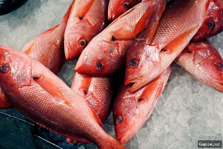 🐟🎣 Трамп одобрил разрешения штатов на удлинение короткого сезона ловли красного луциана