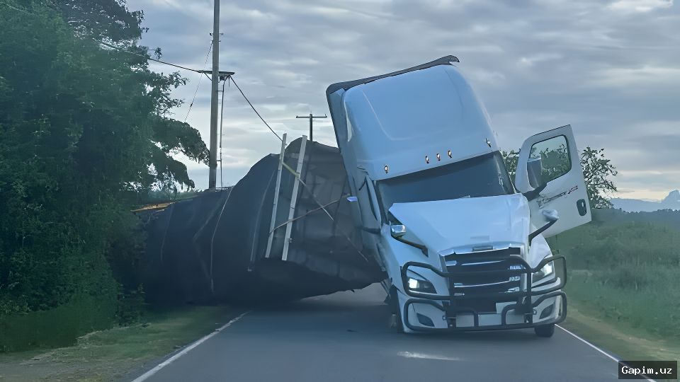 🐝🚛 Информация о якобы пропавших в России фурах с пчелами из Узбекистана не подтвердилась