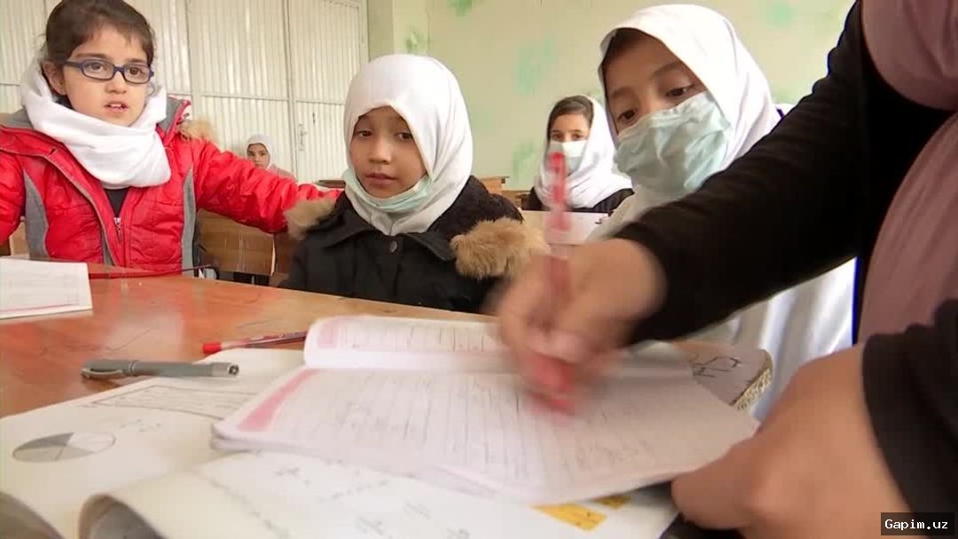 🌍📚 Afg'onistonda qizlar ta'limi: besh yillik taqiq millionlab qizlarni maktabdan mahrum qildi