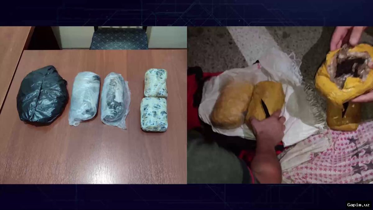 🚛💊 Uzbekistan Foils Massive Drug Smuggling from Afghanistan: 593 kg of Hashish Seized