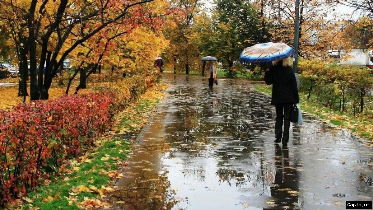 🌦️📉 O‘zbekistonda ob-havo o‘zgarmoqda: haftaning birinchi yarmida yomg‘ir yog‘ib, so‘ngra havo iliqlashishi kutilmoqda