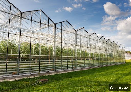 🏡🌱 50 Families in Karakalpakstan’s Kegayli District Receive Greenhouses