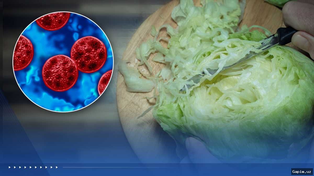 💩🥬 AQShda minglab odamlarni kasal qilgan muzlatilgan salat namunasi soxta ijobiy chiqdi