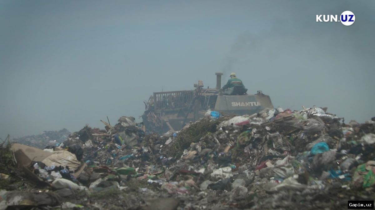 🌍📉 Environmental Violations Surge to 59,000 in Uzbekistan: President Unveils New Measures
