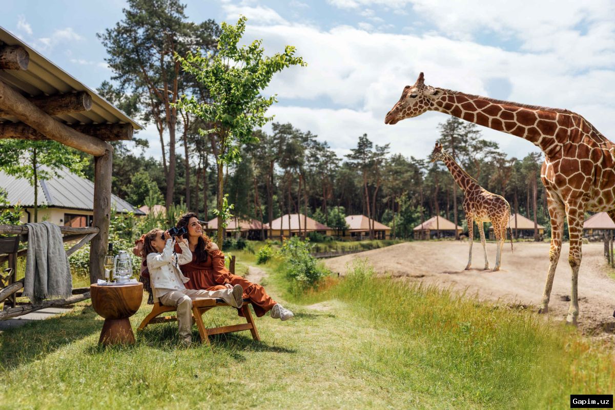 🦁🇳🇱 Niderlanddagi safari parkida leopard xodimga hujum qilib, uning o'limiga sabab bo'ldi