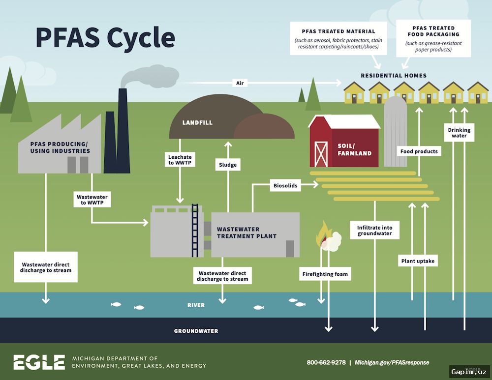 🌍⚡️ Forever Chemicals: Should Renewable Energy Tech Get a Pass to Save the Climate?