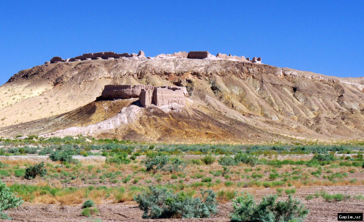🏗️📍 Khorezm Region Appoints New Deputy Governor for Construction and Utilities