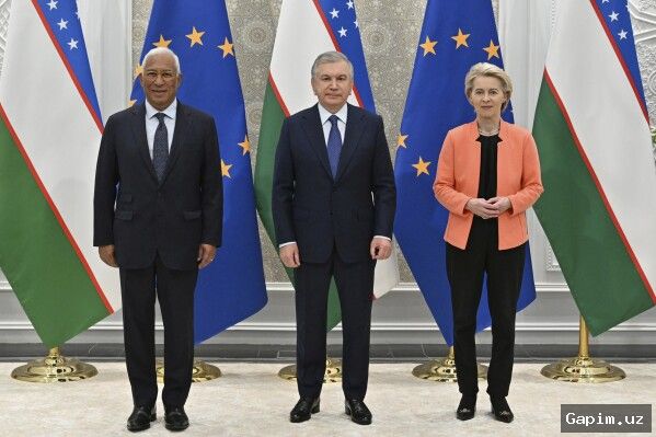 🌿🌍 Central Asia's 'Green Shield' Initiative: Resolution Signed for 2026–2035