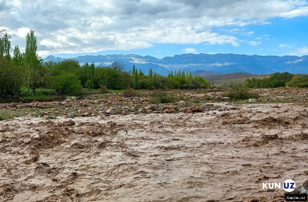 🌊⚠️ Navoiy viloyatida kuchli sel-suv oqimlari: bir necha tumanlar zarar ko‘rdi