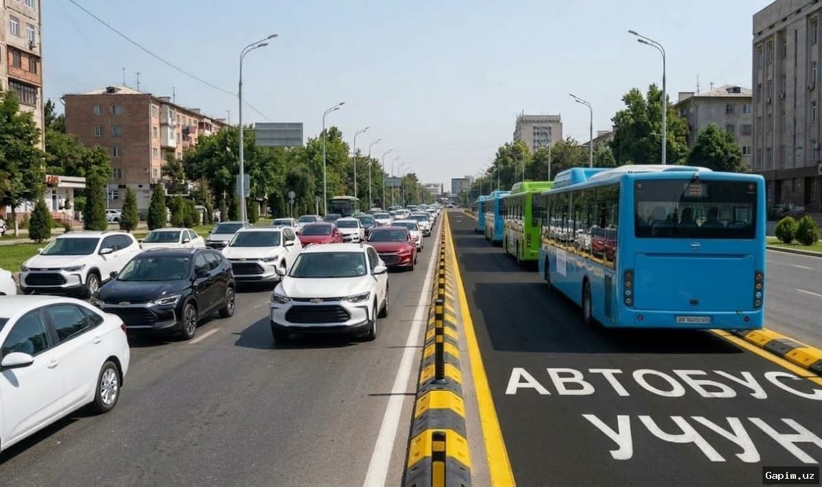 🚌🛣️ Toshkentda jamoat transporti harakatini yaxshilash uchun yangi maxsus yo'laklar tashkil etilmoqda