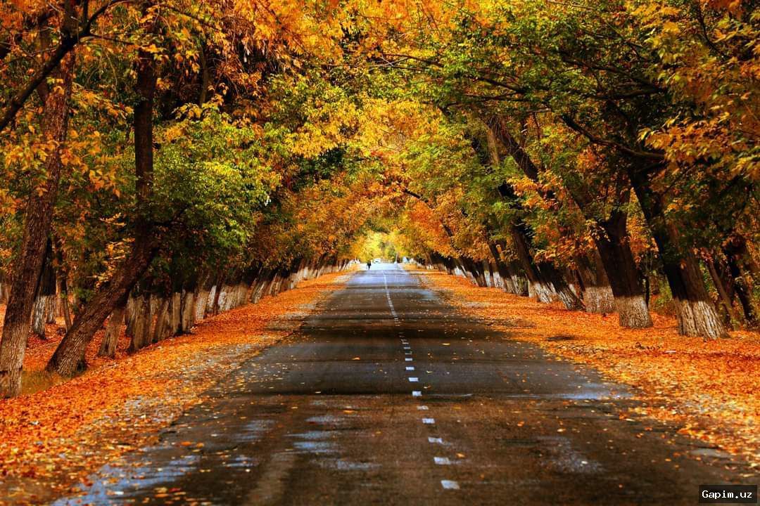 🌤️🍂 В Узбекистане в течение рабочей недели сохранится сухая погода