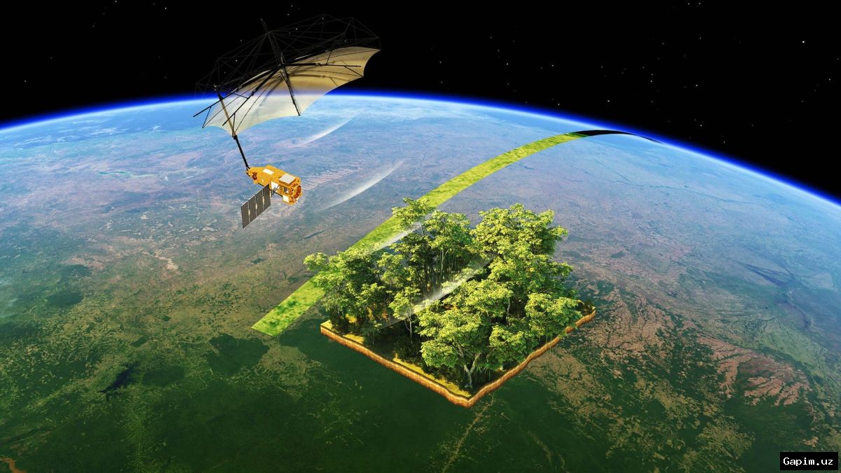 🛰️🌍 European regime space agency releases first Biomass satellite imagery